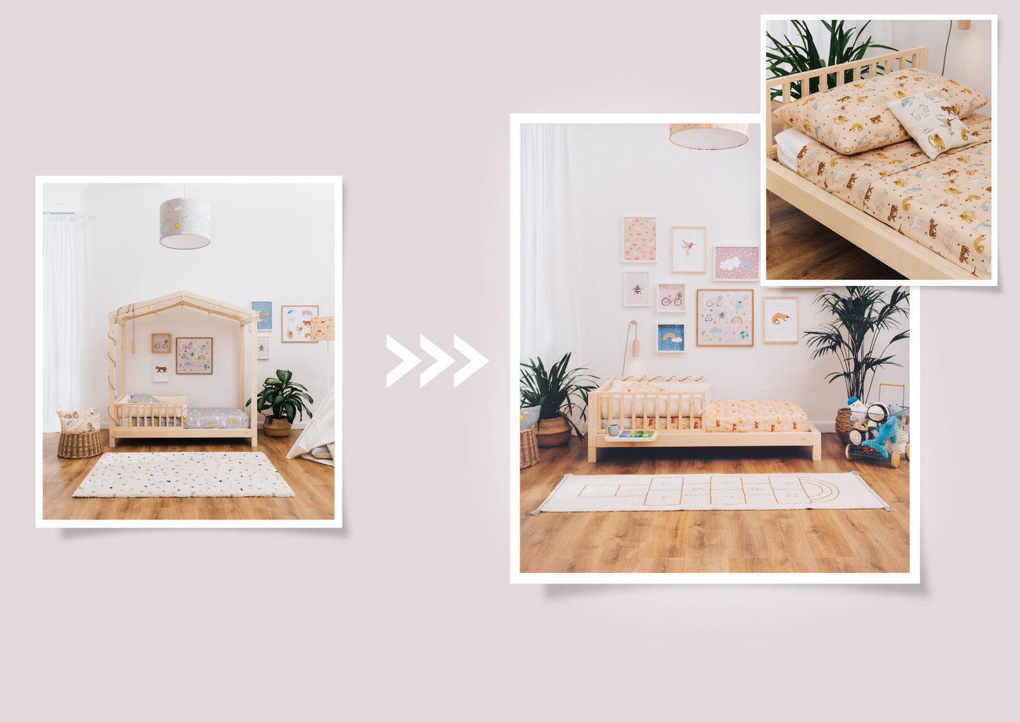 Kit de conversion zero+ Dream <-> Earth