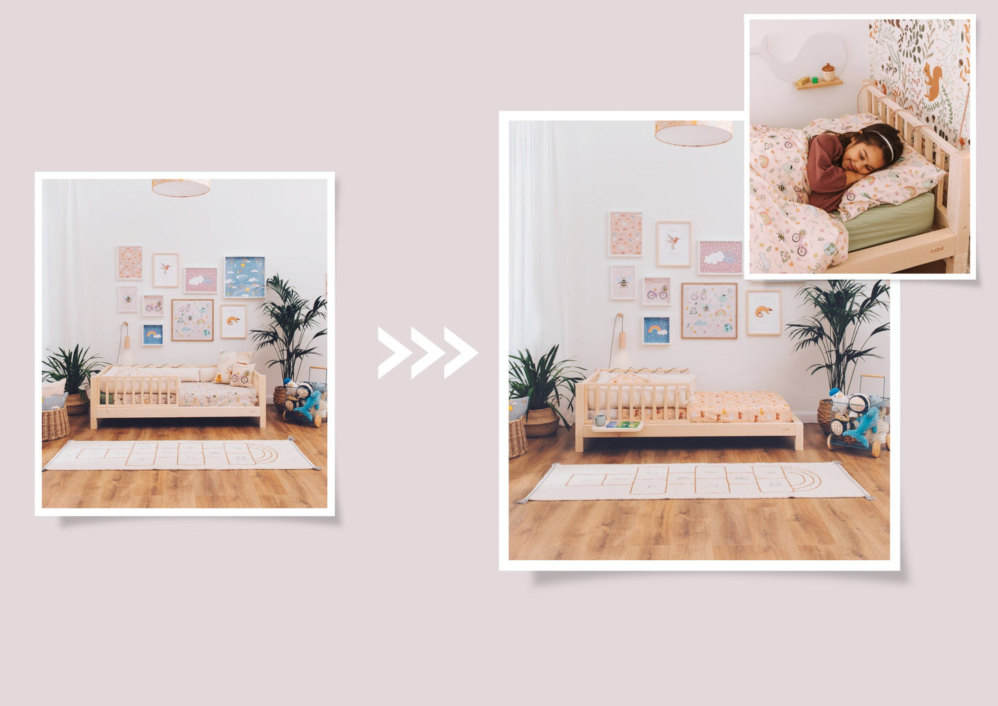 Kit de conversion zero+ Dream <-> Earth