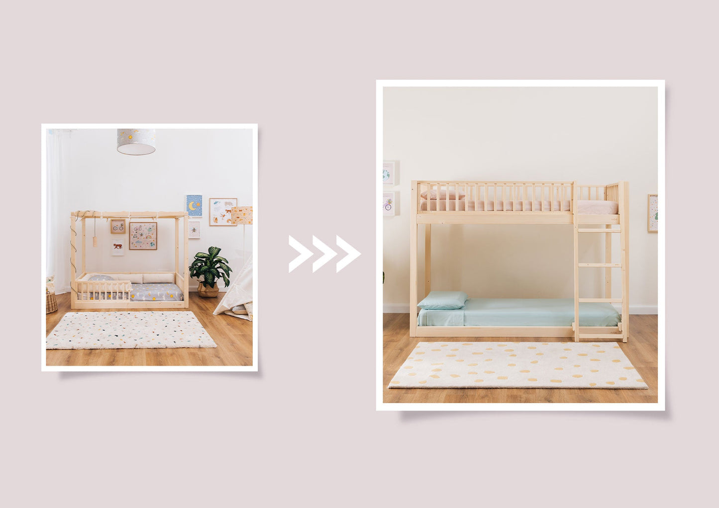 Kit de conversion zero+ Dream/Earth <--> Duo