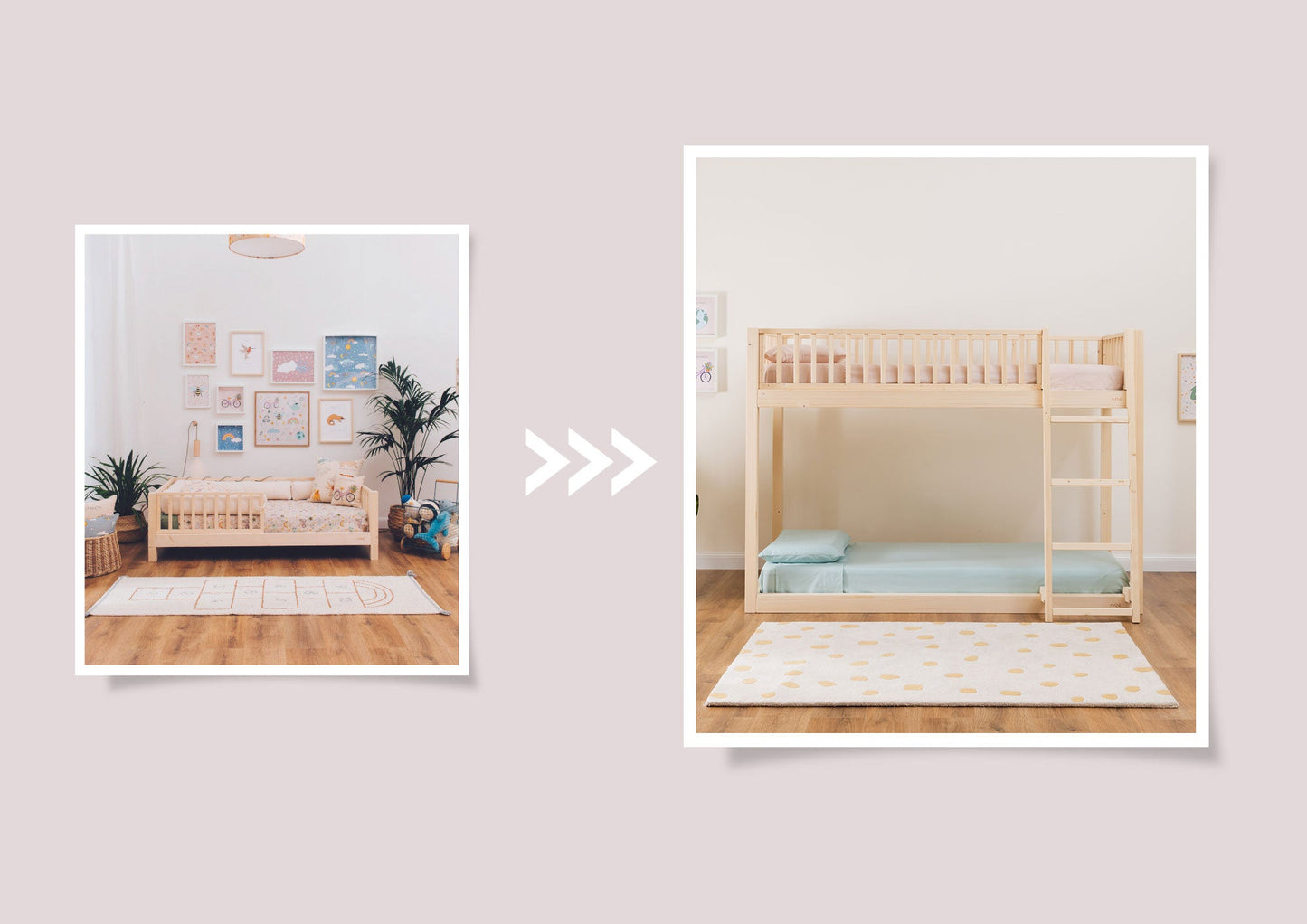 Kit de conversion zero+ Dream/Earth <--> Duo