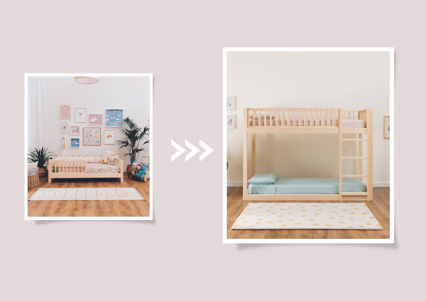 Kit de conversion zero+ Dream/Earth <--> Duo