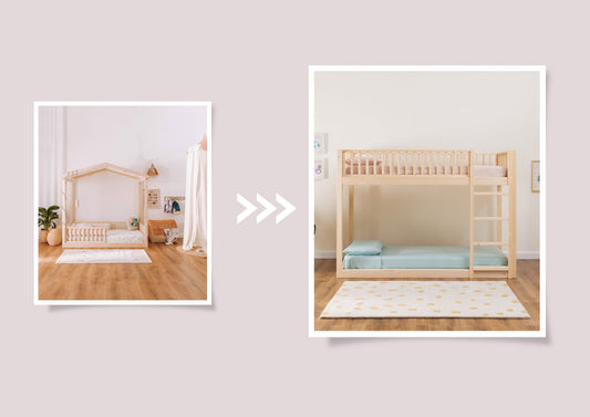 Kit de conversion zero+ Dream/Earth <--> Duo