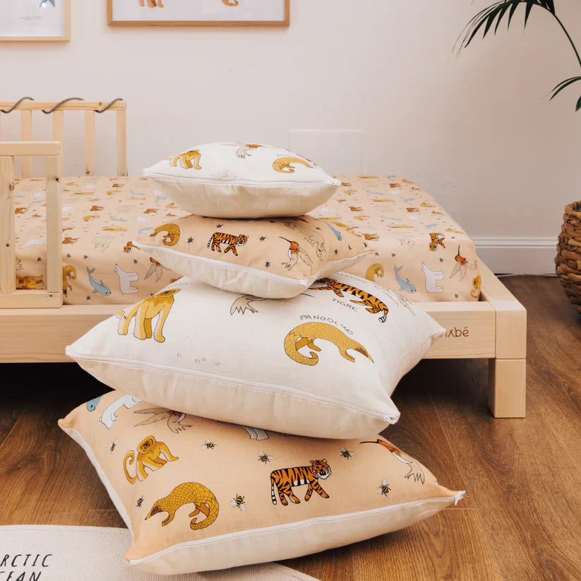 Pack Déco Young 6+