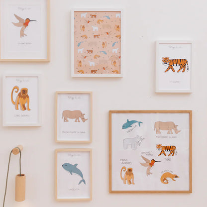 Pack Déco Young 6+