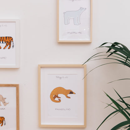 Illustrations "Protège la vie"