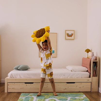 Pack Kit pieds bas et Kit pieds hauts