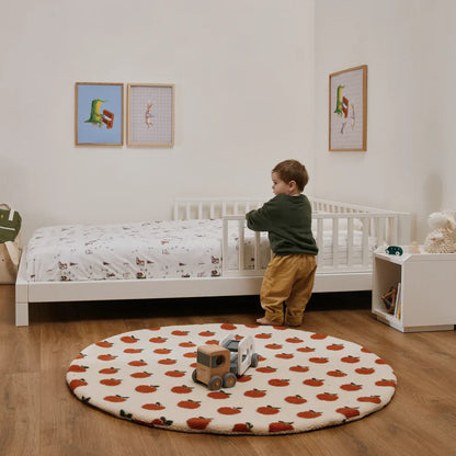Pack Bibliothèque EverGrow Baby 0-3