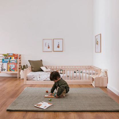 Pack Bibliothèque EverGrow Young 6+