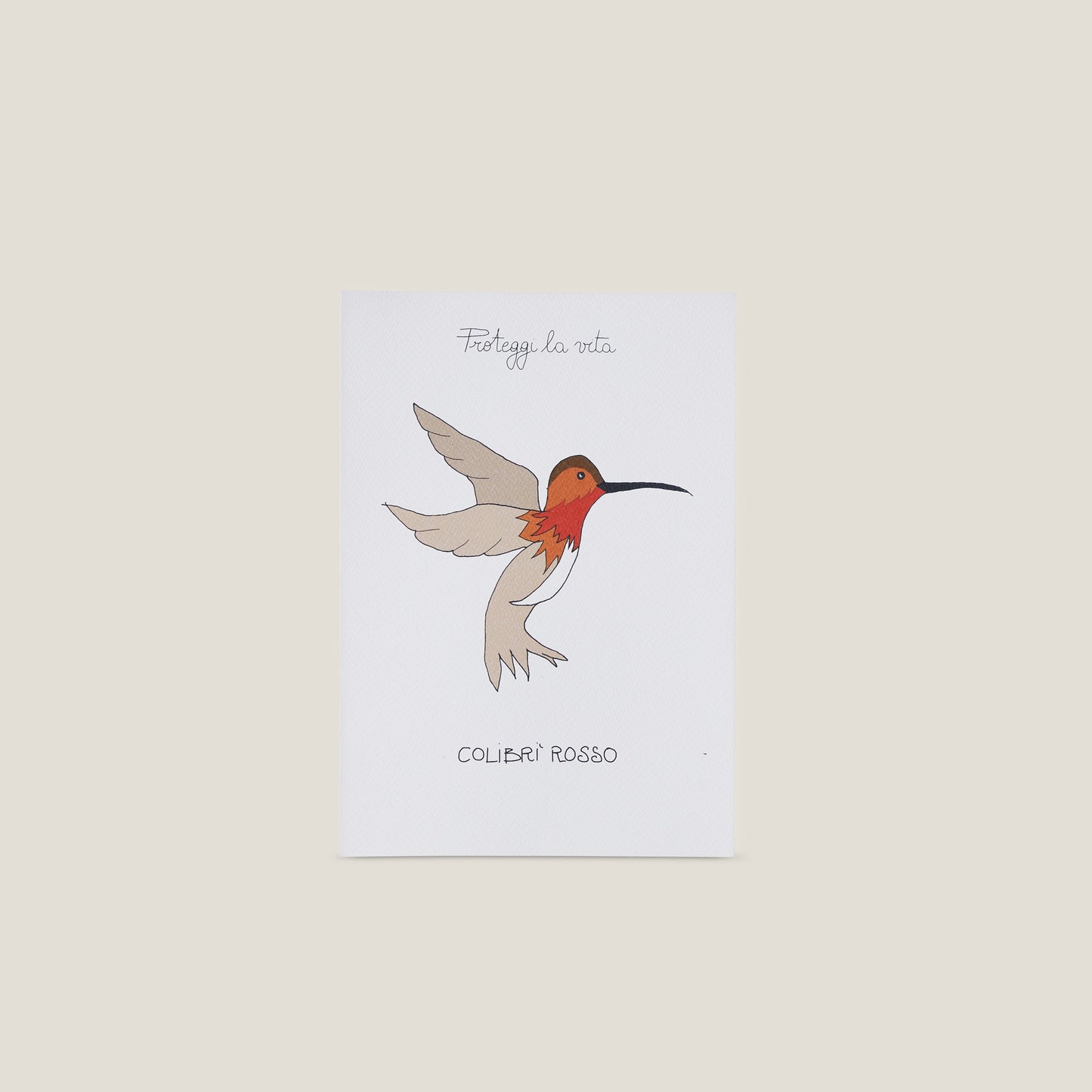 Stampa illustrata a tema natura con l'immagine di un colibrì.