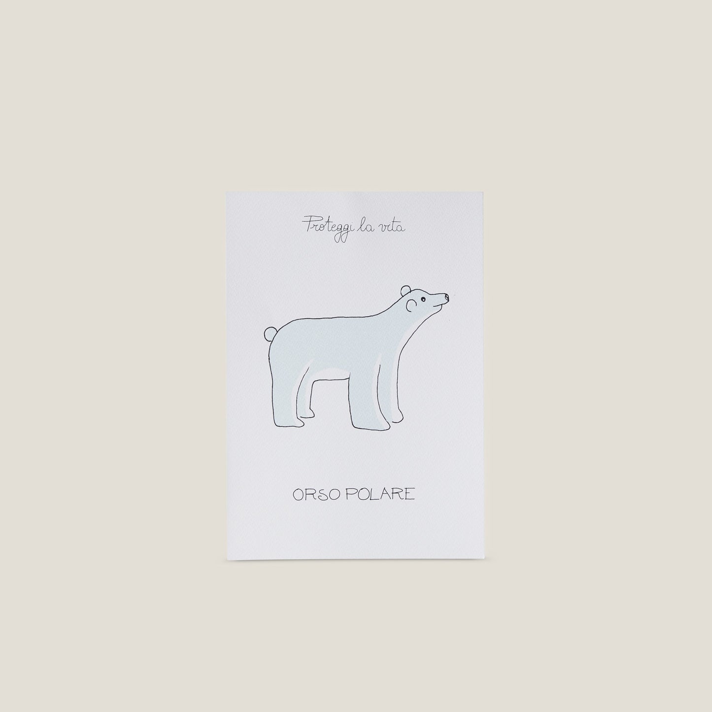 Stampa illustrata a tema natura con l'immagine di un orso polare.. 